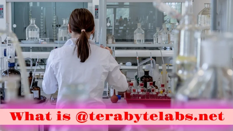 What is @terabytelabs.net