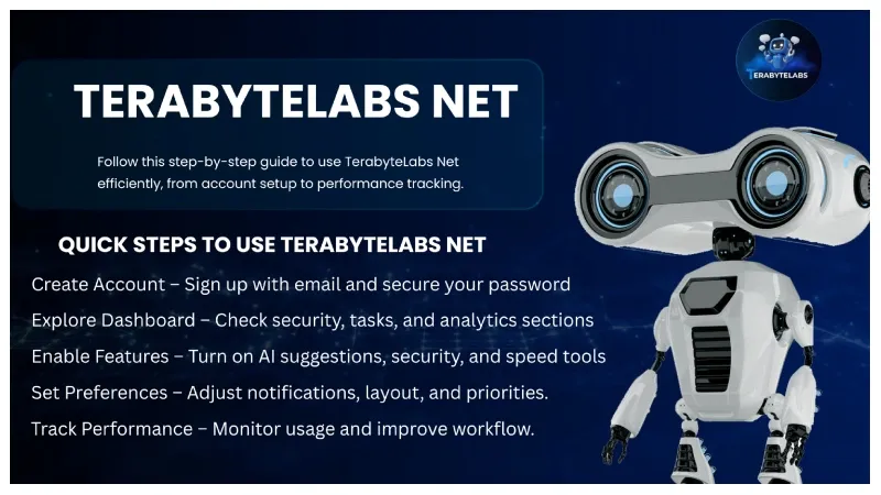 using TerabyteLabs Net in a step-by-step