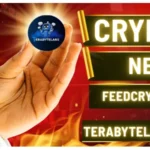 Crypto News FeedCryptoBuzz