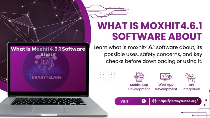 What Is Moxhit4.6.1 Software About