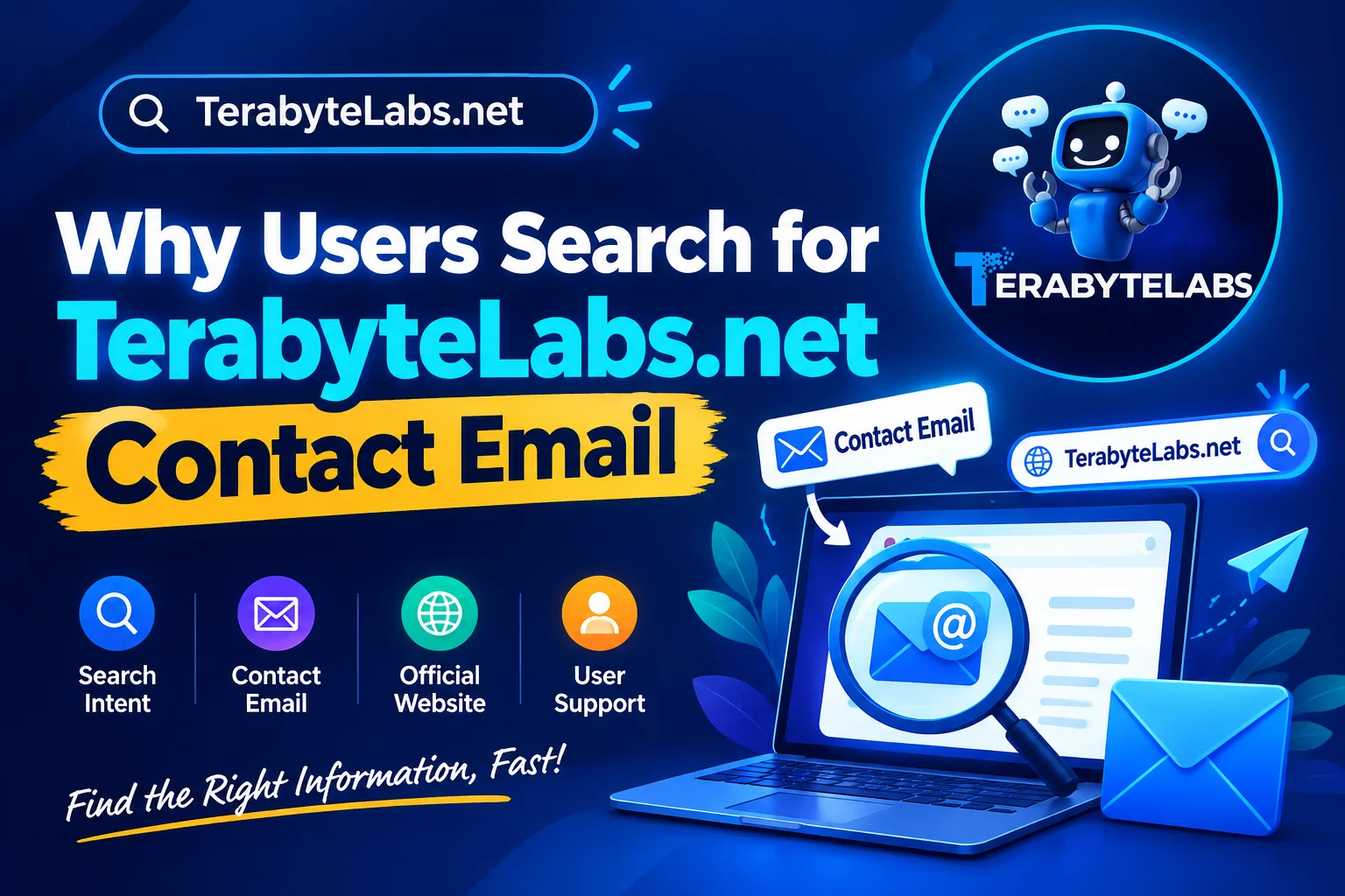 Why Users Search for TerabyteLabs.net Contact Email